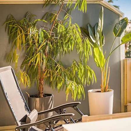 Appartement Wonderful 2 Bedroom Facing The Croisette